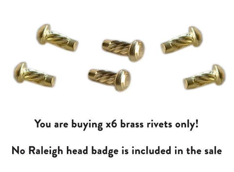 Pack of 6 Brass Head Badge Rivets